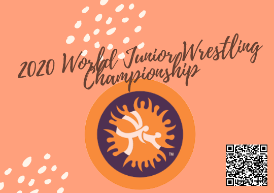 world wrestling championship