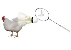 Indian badminton bird gets bird flu in corona period